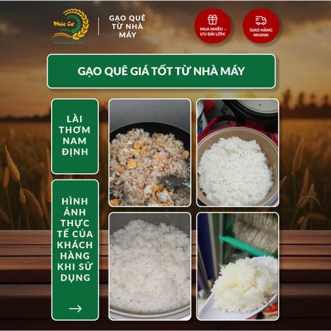 Gạo Phúc Cư | 10KG Gạo Lài Thơm Nam Định (LOẠI NGON) Hạt Dài Cơm Mềm Thơm Ngon