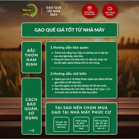 Gạo Phúc Cư | 60KG Gạo Bắc Thơm Nam Định (LOẠI NGON) Hạt Dài Cơm Mềm Thơm Ngon