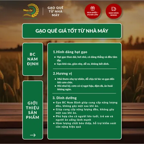 Gạo Phúc Cư | 20KG Gạo BC Nam Định (LOẠI NGON) Hạt Dài Cơm Mềm Thơm Ngon