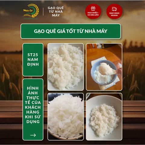 Gạo Phúc Cư | 20KG Gạo ST25 Nam Định Đậm Vị Cơm Mềm Thơm Ngon Giá Sỉ Nhà Máy