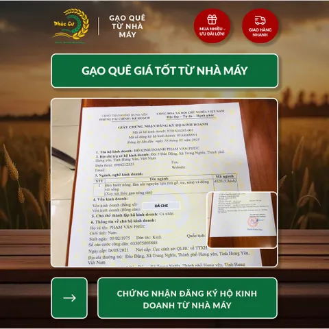 Gạo Phúc Cư | 20KG Gạo ST25 Nam Định Đậm Vị Cơm Mềm Thơm Ngon Giá Sỉ Nhà Máy