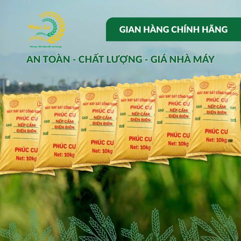 Gạo Phúc Cư | 60KG Gạo Nếp Cẩm Điện Biên Đặc Sản Dẻo Thơm Nấu Xôi Sữa Chua Thơm Ngon