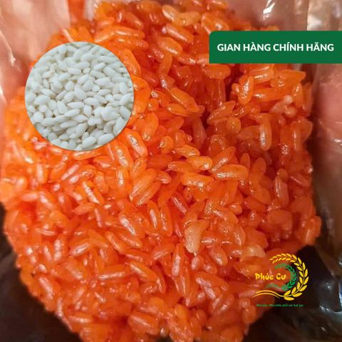 Gạo Phúc Cư | 40KG Gạo Nếp Nhung Hạt To (NẾP BẮC 4 THÁNG TUỔI) Nấu Xôi Không Bết Làm Bánh Dẻo Ngon