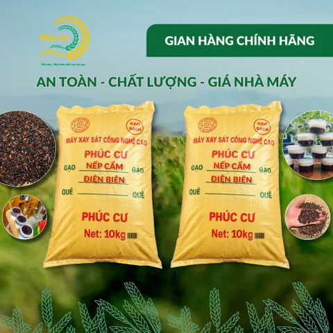 Gạo Phúc Cư | 20KG Gạo Nếp Cẩm Điện Biên Đặc Sản Dẻo Thơm Nấu Xôi Sữa Chua Thơm Ngon