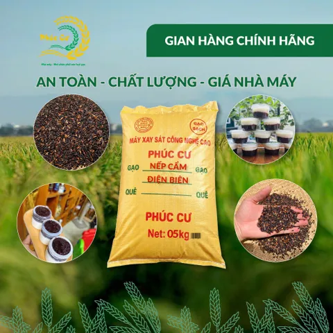 Gạo Phúc Cư | 5KG Gạo Nếp Cẩm Điện Biên Đặc Sản Dẻo Thơm Nấu Xôi Sữa Chua Thơm Ngon