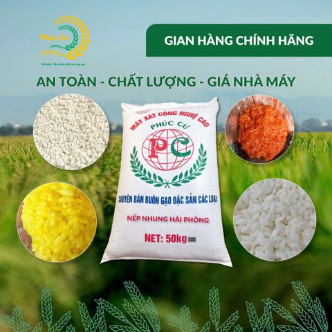 Gạo Phúc Cư | 50KG Gạo Nếp Nhung Hạt To (NẾP BẮC 4 THÁNG TUỔI) Nấu Xôi Không Bết Làm Bánh Dẻo Ngon