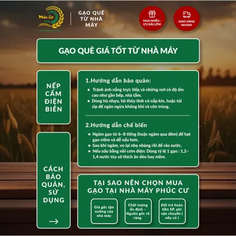 Gạo Phúc Cư | 20KG Gạo Nếp Cẩm Điện Biên Đặc Sản Dẻo Thơm Nấu Xôi Sữa Chua Thơm Ngon