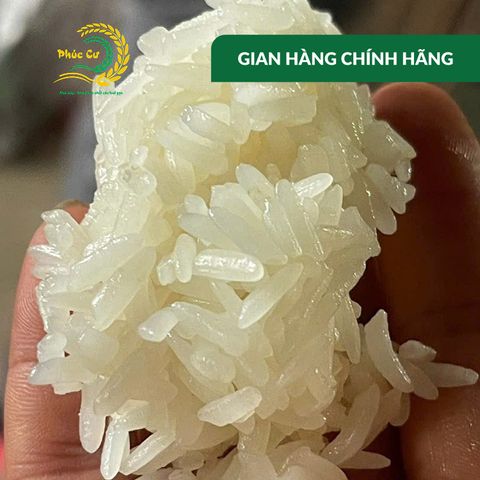 Gạo Phúc Cư | 5KG Nếp Nương Điện Biên Hạt Dài Dẻo Thơm Nấu Xôi Làm Bánh