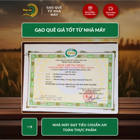 Gạo Phúc Cư | 5KG Gạo Lứt Đen (LOẠI NGON) Nếp Than Hữu Cơ Tốt Cho Người Tiểu Đường Ăn Kiêng
