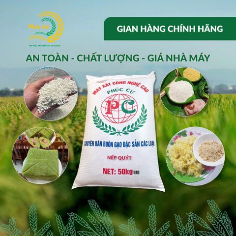 Gạo Phúc Cư | 50KG Gạo Nếp Quýt Kinh Môn 6 Tháng Tuổi (Nếp Cái Hoa Vàng) Hạt To Tròn Nấu Xôi Làm Bánh