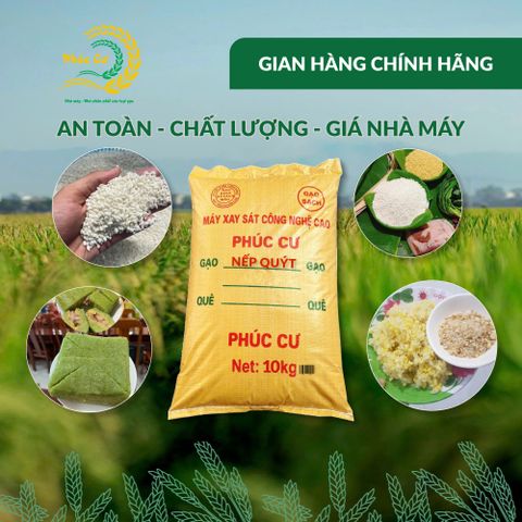 Gạo Phúc Cư | 10KG Gạo Nếp Quýt Kinh Môn 6 Tháng Tuổi (Nếp Cái Hoa Vàng) Hạt To Tròn Nấu Xôi Làm Bánh
