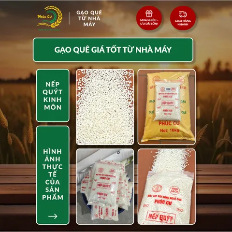 Gạo Phúc Cư | 10KG Gạo Nếp Quýt Kinh Môn 6 Tháng Tuổi (Nếp Cái Hoa Vàng) Hạt To Tròn Nấu Xôi Làm Bánh