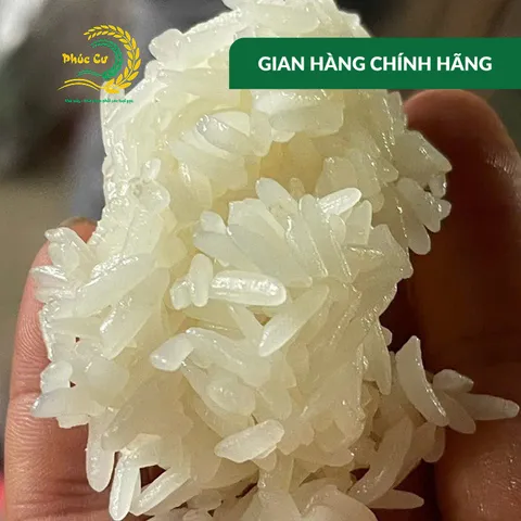 Gạo Phúc Cư | 2KG Nếp Nương Điện Biên Hạt Dài Dẻo Thơm Nấu Xôi Làm Bánh