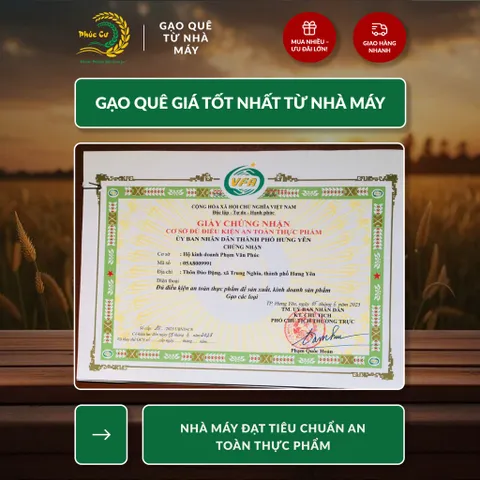 Gạo Phúc Cư | 5KG Lứt Đỏ (LOẠI NGON) Huyết Rồng Hữu Cơ Tốt Cho Người Tiểu Đường Ăn Kiêng Heathy