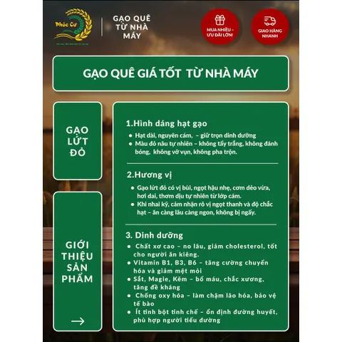 Gạo Phúc Cư | 30KG Gạo Lứt Đỏ (LOẠI NGON) Huyết Rồng Hữu Cơ Tốt Cho Người Tiểu Đường Ăn Kiêng Heathy