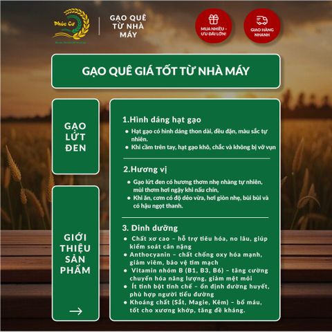 Gạo Phúc Cư | 10KG Gạo Lứt Đen (LOẠI NGON) Nếp Than Hữu Cơ Tốt Cho Người Tiểu Đường Ăn Kiêng