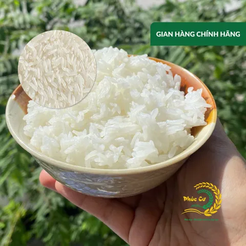 Gạo Phúc Cư | 5KG Gạo ST25 Nam Định Chính Gốc Dẻo Thơm Đặc Sản Hạt Dài Trắng Trong Cơm Ngon