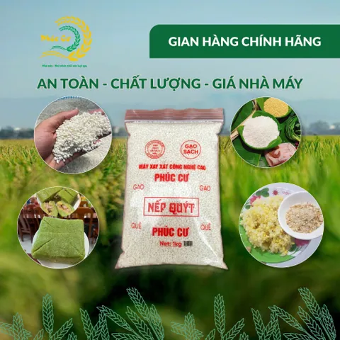 Gạo Phúc Cư | 1KG Gạo Nếp Quýt Kinh Môn 6 Tháng Tuổi (Nếp Cái Hoa Vàng) Hạt To Tròn Nấu Xôi Làm Bánh