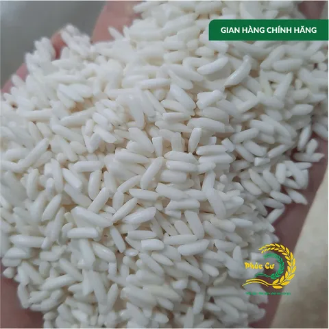 Gạo Phúc Cư | 20KG Nếp Sáp Ngỗng Dẻo Thơm Tự Nhiên Làm Bánh Xôi Nấu Chè