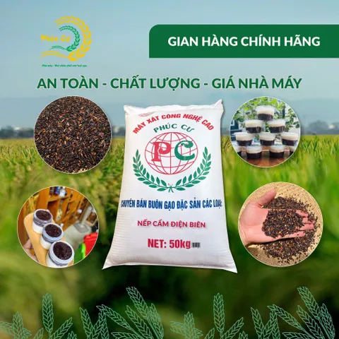 Gạo Phúc Cư | 50KG Gạo Nếp Cẩm Điện Biên Đặc Sản Dẻo Thơm Nấu Xôi Sữa Chua Thơm Ngon