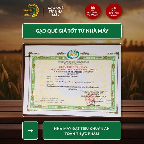 Gạo Phúc Cư | 5KG Gạo ST25 Nam Định Hảo Hạng (LOẠI CAO CẤP) Đặc Sản Hạt Dài Trắng Trong Cơm Ngon