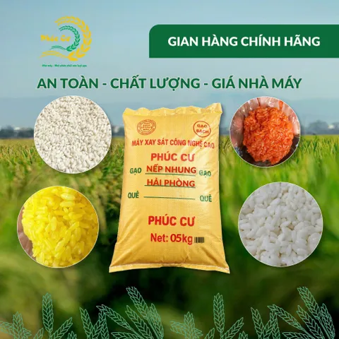Gạo Phúc Cư | 5KG Gạo Nếp Nhung Hạt To (NẾP BẮC 4 THÁNG TUỔI) Nấu Xôi Không Bết Làm Bánh Dẻo Ngon