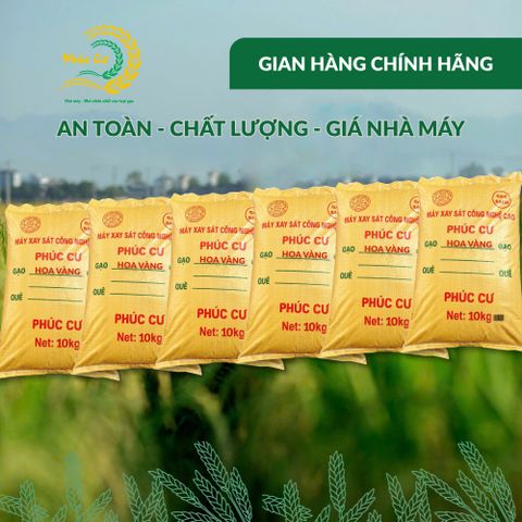 Gạo Phúc Cư | 60KG Gạo Nếp Cái Hoa Vàng (NẾP BẮC 3,5 THÁNG TUỔI) Dẻo Thơm Chuẩn Gạo Quê Nấu Xôi Làm Bánh