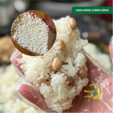 Gạo Phúc Cư | 40KG Gạo Nếp Cái Hoa Vàng (NẾP BẮC 3,5 THÁNG TUỔI) Dẻo Thơm Chuẩn Gạo Quê Nấu Xôi Làm Bánh