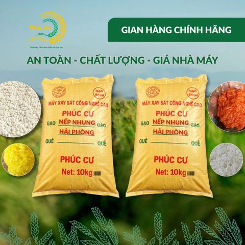 Gạo Phúc Cư | 20KG Gạo Nếp Nhung Hạt To (NẾP BẮC 4 THÁNG TUỔI) Nấu Xôi Không Bết Làm Bánh Dẻo Ngon