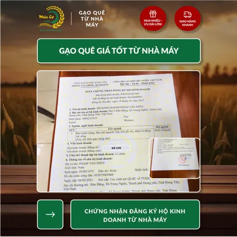Gạo Phúc Cư | 40KG Gạo Nếp Cái Hoa Vàng (NẾP BẮC 3,5 THÁNG TUỔI) Dẻo Thơm Chuẩn Gạo Quê Nấu Xôi Làm Bánh