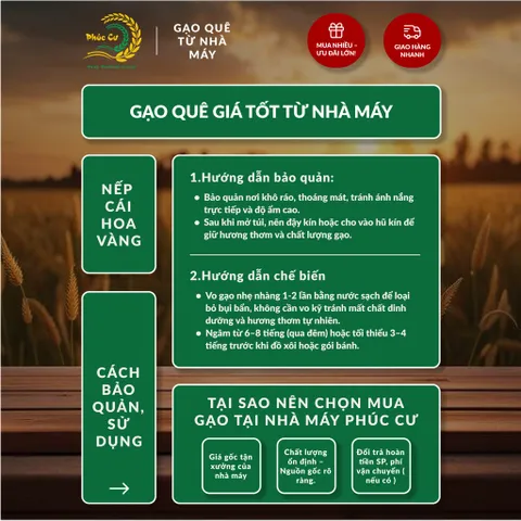 Gạo Phúc Cư | 20KG Gạo Nếp Cái Hoa Vàng (NẾP BẮC 3,5 THÁNG TUỔI) Dẻo Thơm Chuẩn Gạo Quê Nấu Xôi Làm Bánh