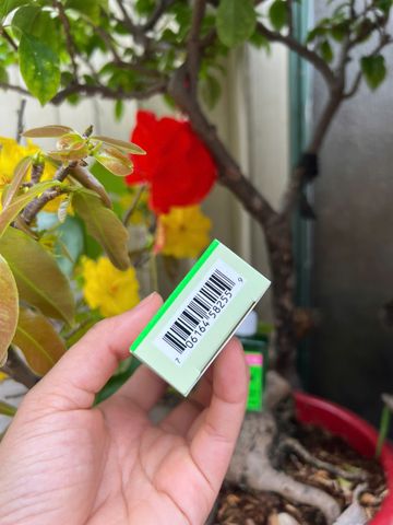 Dầu Khuynh Diệp BST's - Tinh Dầu 30ml Giảm Cảm Cúm, Nghẹt Mũi, Ho, Cơ Đau - Hỗ Trợ Giấc Ngủ Ngon Văn Minh Khỏe Mạnh