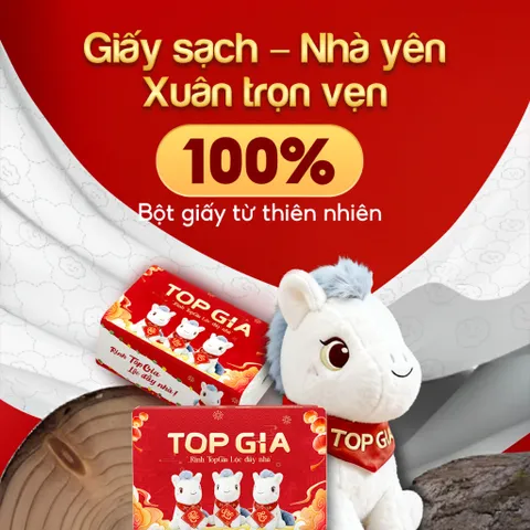 Combo 20 Gói Giấy Ăn cao cấp TopGia Tết, Tặng Ngựa Bông Miễn Phí, 4 Lớp Cao Cấp!