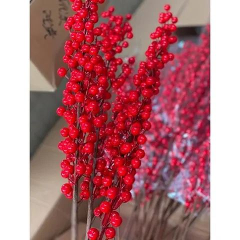 đào đông 12 nhánh, táo đồng,tim đồng, công đồng, rẻ quạt đồng 632377