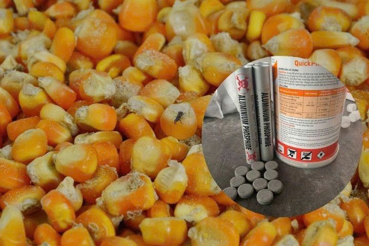 1 TUÝT (20 VIÊN) Thuốc xông mọt nông sản QUICKPHOS 56% diệt mọt gạo, lúa, thóc NHẬP Ấn Độ