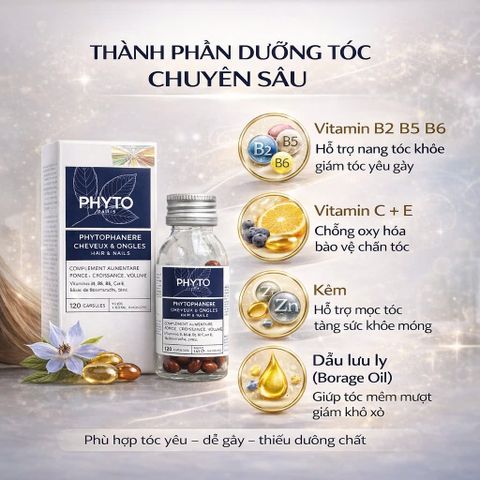 Viên Uống Dưỡng Tóc & Móng Phyto Phytophanere Hair & Nails - Hỗ Trợ Tóc Dày Khỏe, Móng Chắc Đẹp - 120 Viên Thực Phẩm Chức Năng