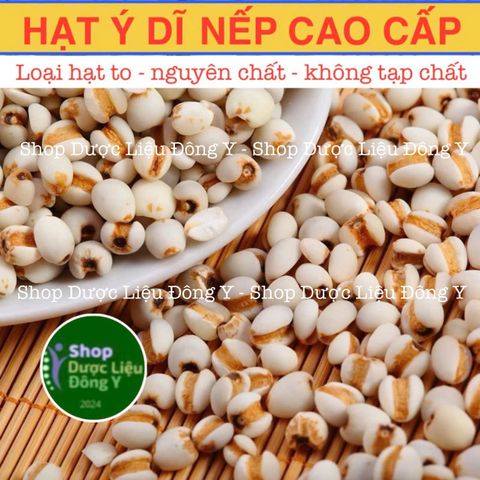 Ý Dĩ Nếp Loại Cao Cấp 100gram