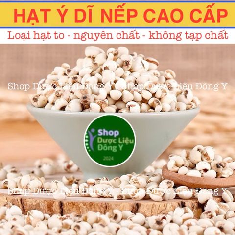 Ý Dĩ Nếp Loại Cao Cấp 100gram