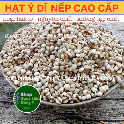 Ý Dĩ Nếp Loại Cao Cấp 100gram