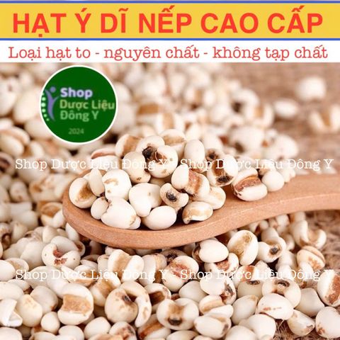 Ý Dĩ Nếp Loại Cao Cấp 100gram