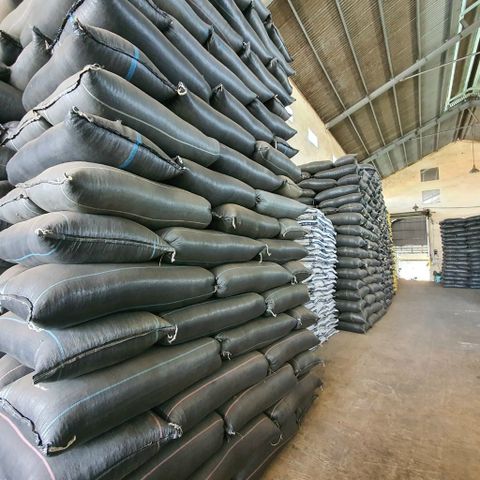 Cà Phê Chồn Nâu Robusta 500gr Đông Á Rang Xay Pha Phin Gu Mạnh Vị Đậm