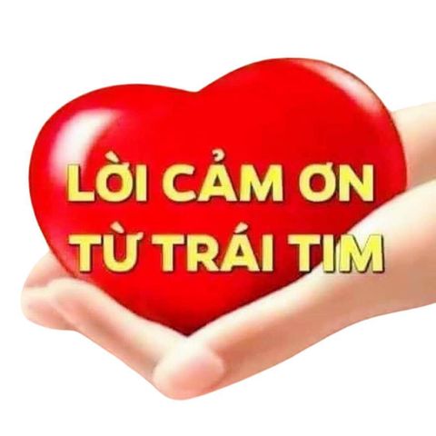 Trà Oolong KIM TUYÊN Cầu Đất Thượng Hạng - Ngọt nhẹ, thanh mát, hậu sâu lắng, không chát gắt.