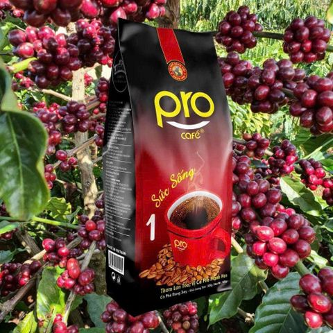 Cà Phê Chồn Nâu Long King 500g, Hương Moka Đặc Trưng, Gu Cafe Đậm Đặc