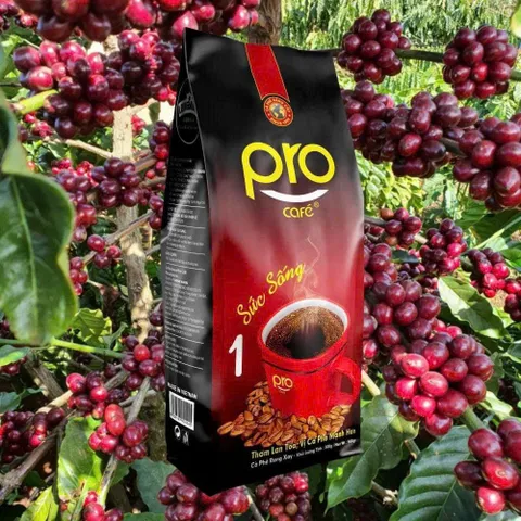 Cà Phê (Chồn Nâu Đặc Biệt) Long King 500g, Cà Phê Rang Xay, Gu Mạnh, Hương Thơm Nồng