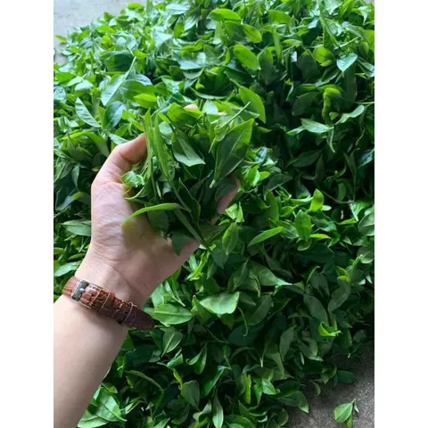 TRÀ NÕN TÔM NGON - 100gr Chè Thái Nguyên - Hương Cám, Ngọt Hậu