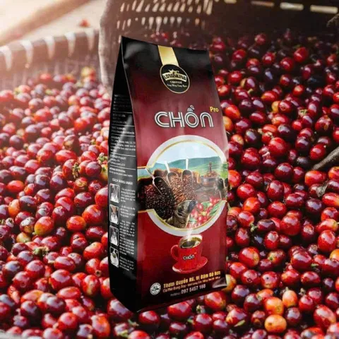 Cà Phê Chồn Pro Long King Gói 500gr Di sản năng lượng thể chất nhẹ, vị đắng dịu dùng pha phin
