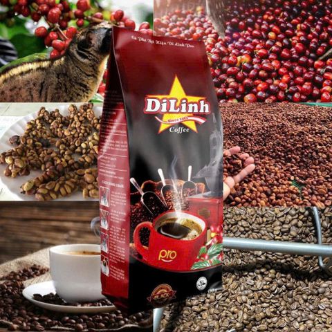 Cà Phê Chồn Pro Long King Gói 500gr Di sản năng lượng thể chất nhẹ, vị đắng dịu dùng pha phin