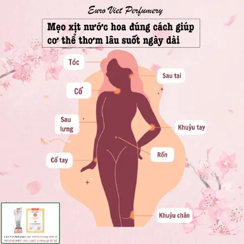 Nước Hoa Nữ MILLENIA 005W Tao Nhã, Gợi Cảm, Nữ Tính Lưu Hương 7-12 Tiếng Euro Viet Perfumery 50ml