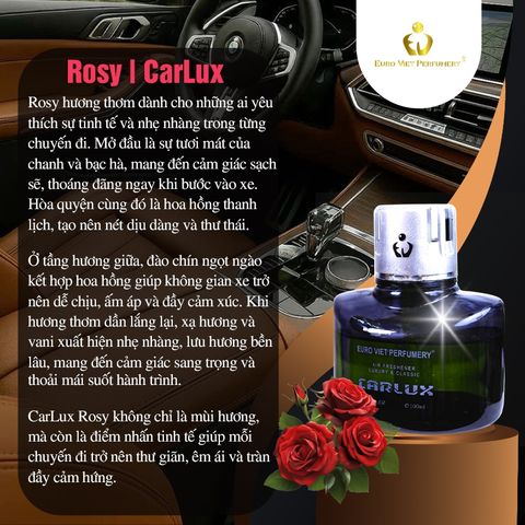 CARLUX 120ml Nước Hoa Ô Tô, phòng làm việc, phòng ngủ không gian nhỏ. Nguyên liệu nhập khẩu Barcelona (Tây Ban Nha)