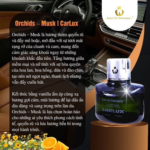 CARLUX 120ml Nước Hoa Ô Tô, phòng làm việc, phòng ngủ không gian nhỏ. Nguyên liệu nhập khẩu Barcelona (Tây Ban Nha)
